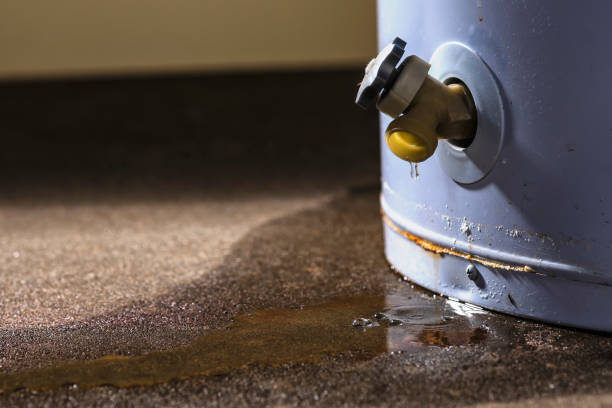 Reliable Moose Lake, MN Water damage restoration Solutions