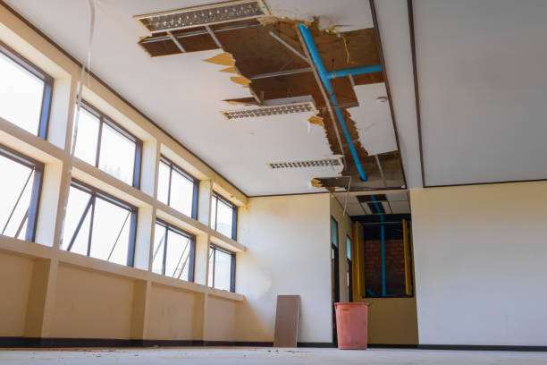 Best 24-hour water damage restoration  in Moose Lake, MN