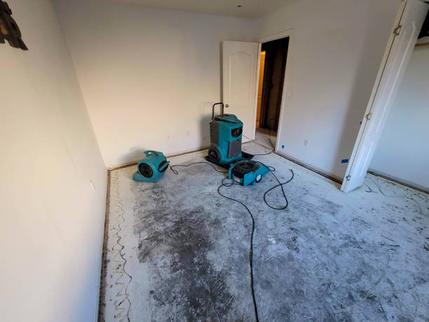 Best Flood restoration services  in Moose Lake, MN
