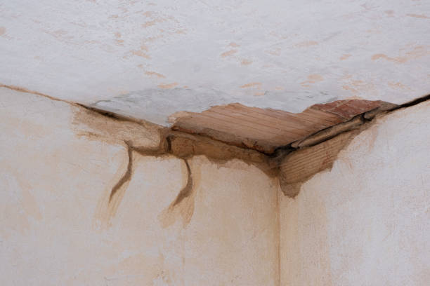 Best Water damage contractors near me  in Moose Lake, MN