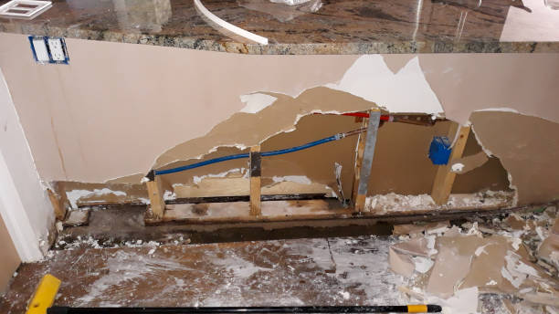 Best Water damage restoration company  in Moose Lake, MN