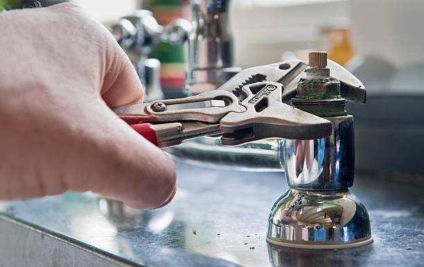 Best Professional water damage repair  in Moose Lake, MN