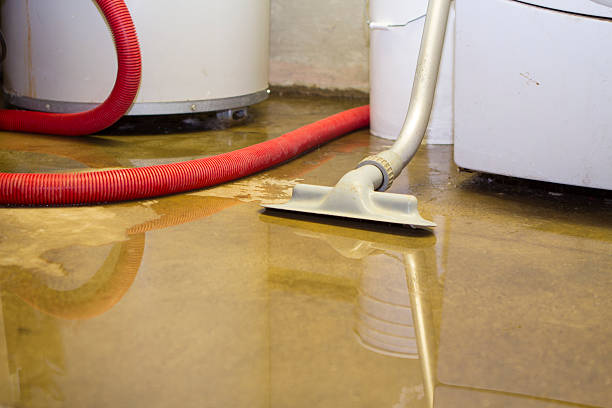 Best Water damage restoration mold remediation  in Moose Lake, MN