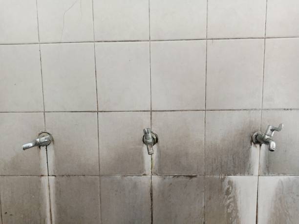 Best Water damage restoration near me  in Moose Lake, MN