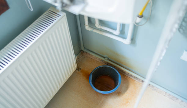 Best Water damage contractors near me  in Moose Lake, MN