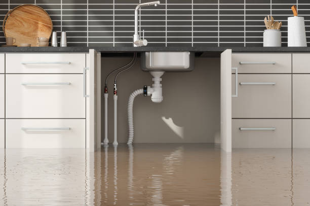 Best Local water damage restoration  in Moose Lake, MN